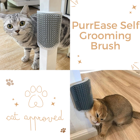 PurrEase Self-Grooming Brush