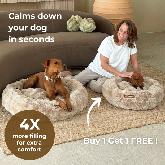 Luxurious Donut Bed 1+1