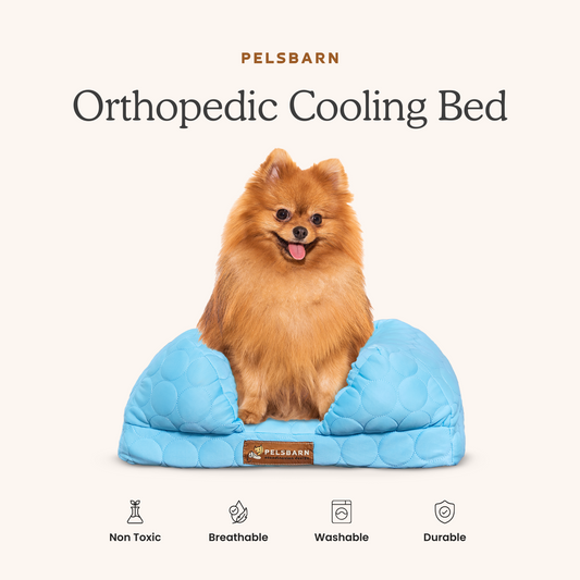 Orthopedic Cooling Dog Bed