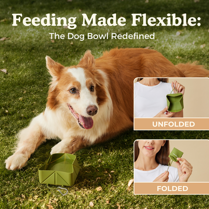 Foldable Food & Water Bowl