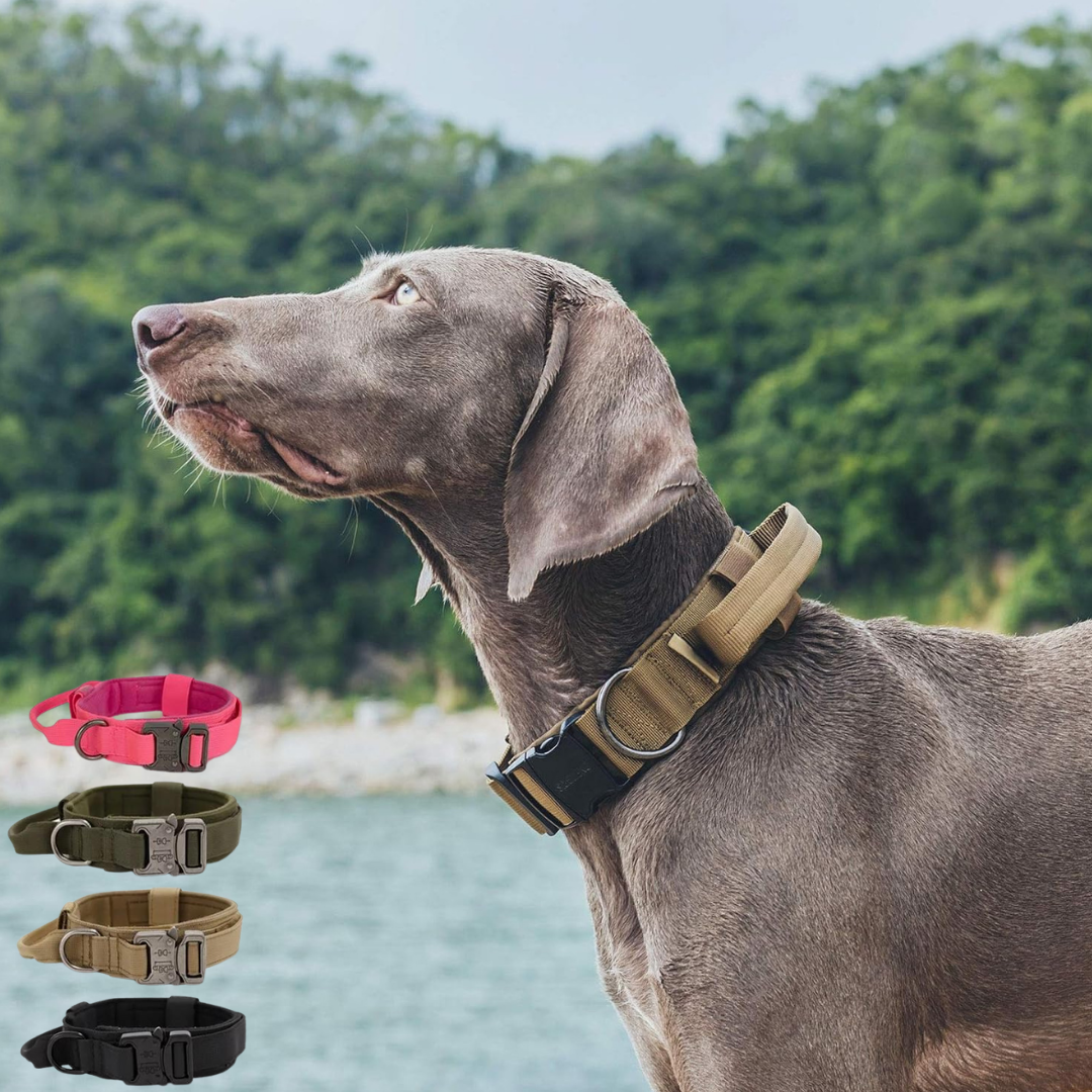 Heavy-Duty Tactical Dog Collar
