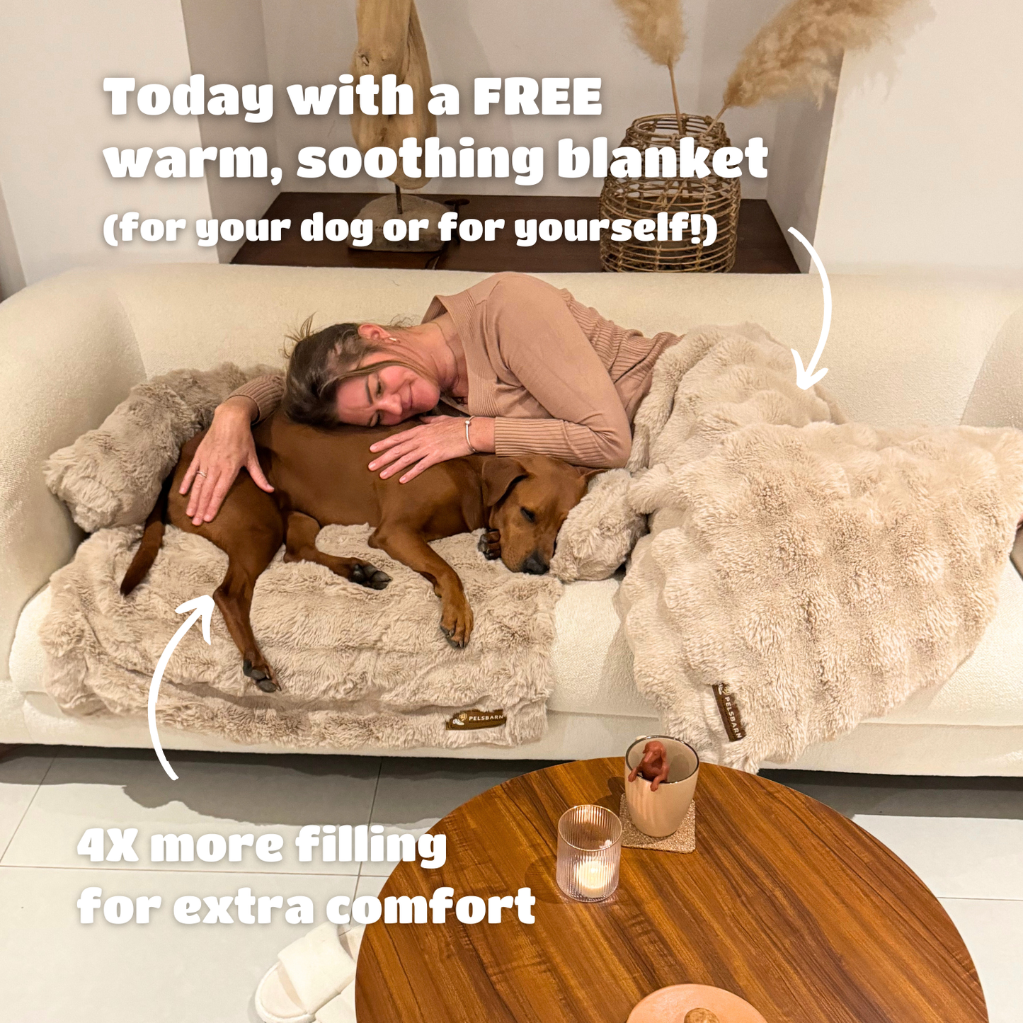 Luxurious sofa bed + luxurious cozy blanket (bundle)