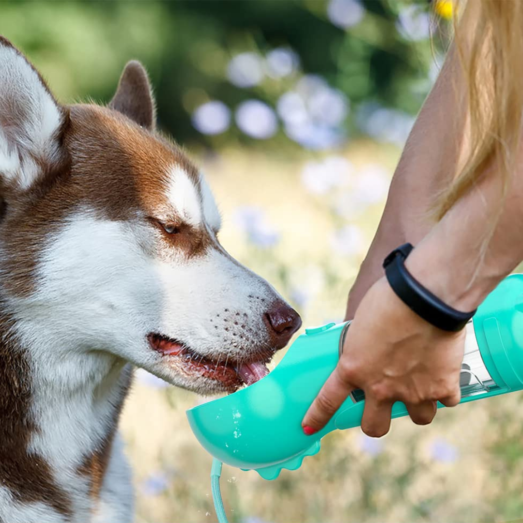 4-in-1 Portable Dog Water Bottle