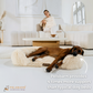 Orthopedic Calming Dog Bed Aussie