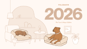 2026 Calendar