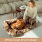 Give Your Dog the Gift of Healing Rest