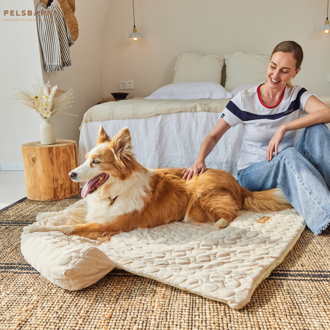 Pelsbarn Cooling Bed (4x more effective) + FREE Cooling Mat