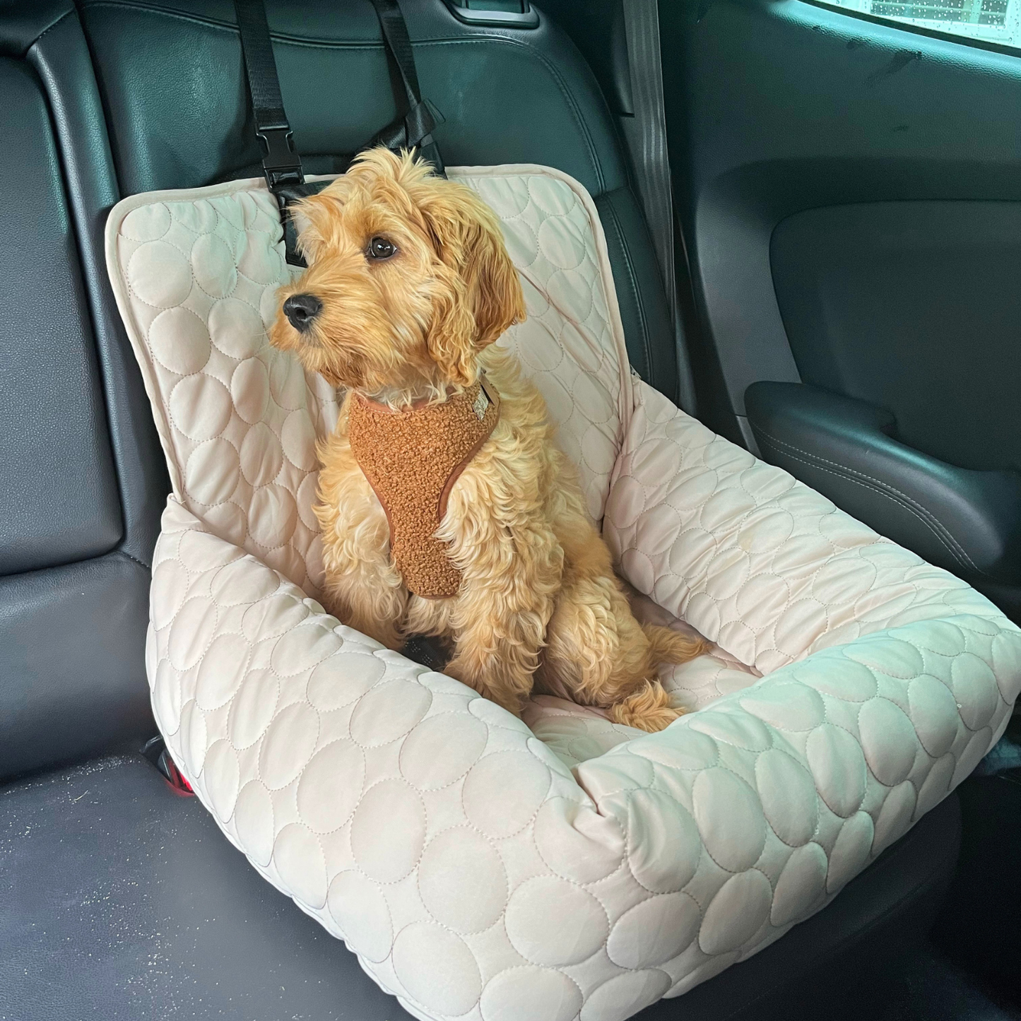 Pelsbarn Cooling Car Bed