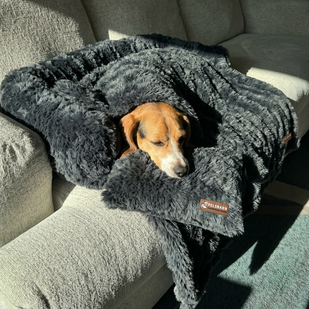 Luxurious Sofa Bed