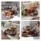 Give Your Dog the Gift of Healing Rest
