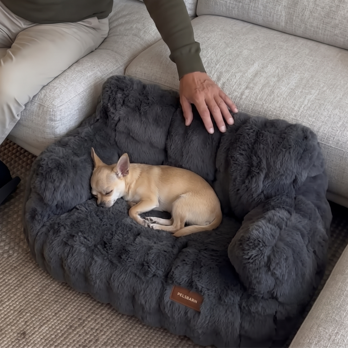 Luxurious Calming Couch
