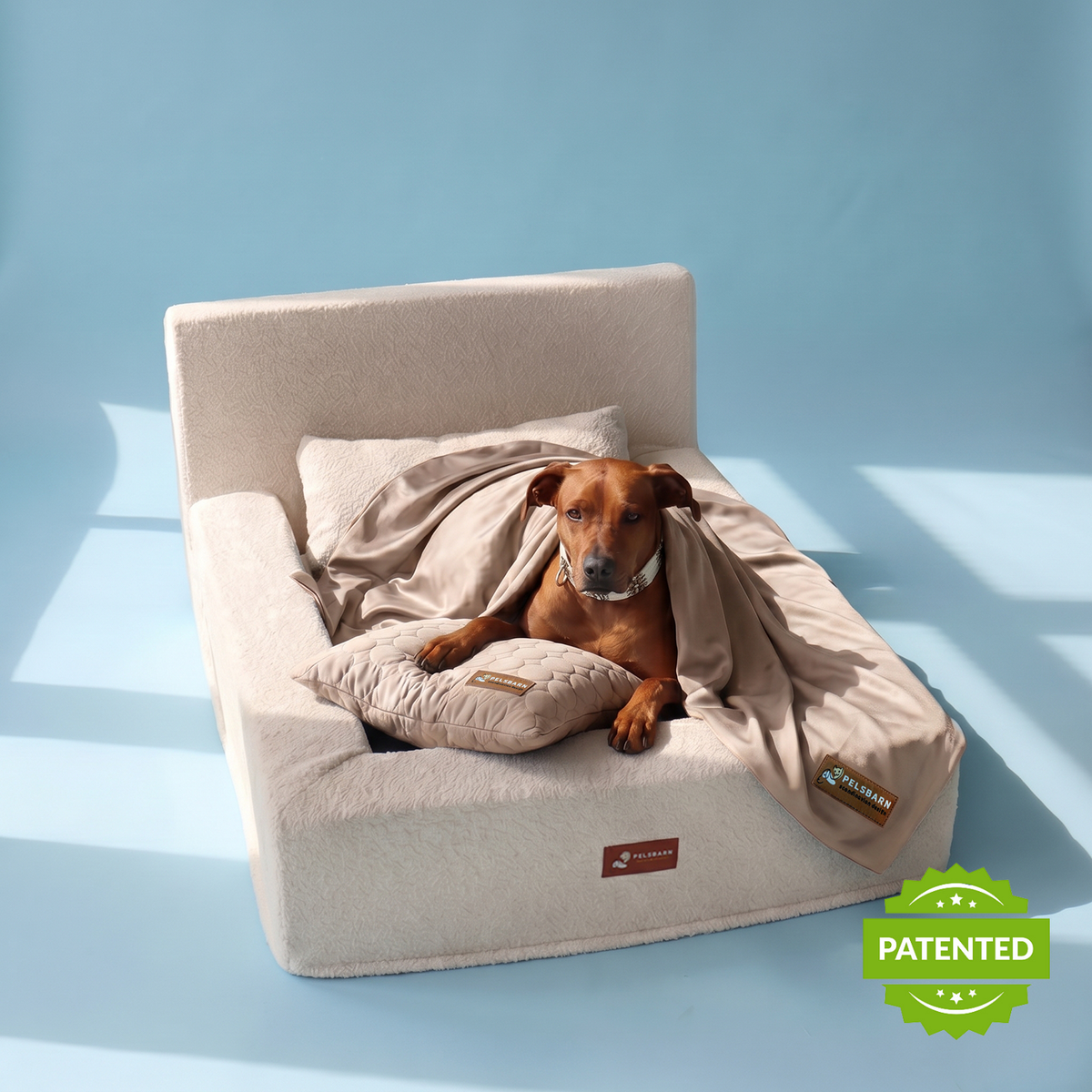 Ready for Dream Bed