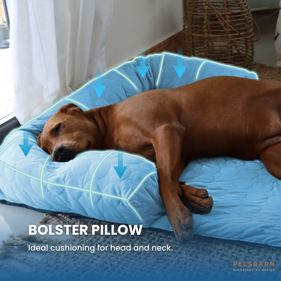 Cooling pillow for dogs hotsell