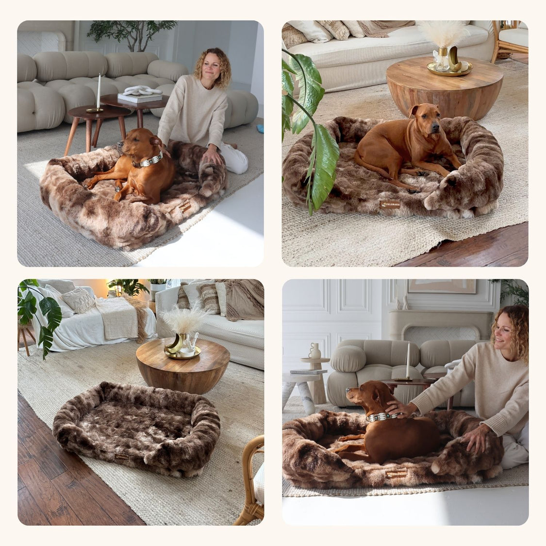 Luxurious Orthopedic Bed