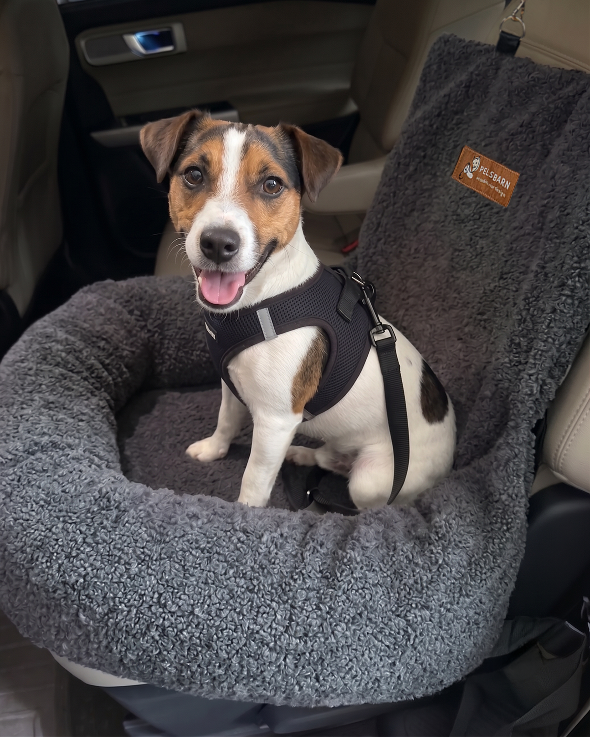 Teddy Car Bed ( 1+1 )