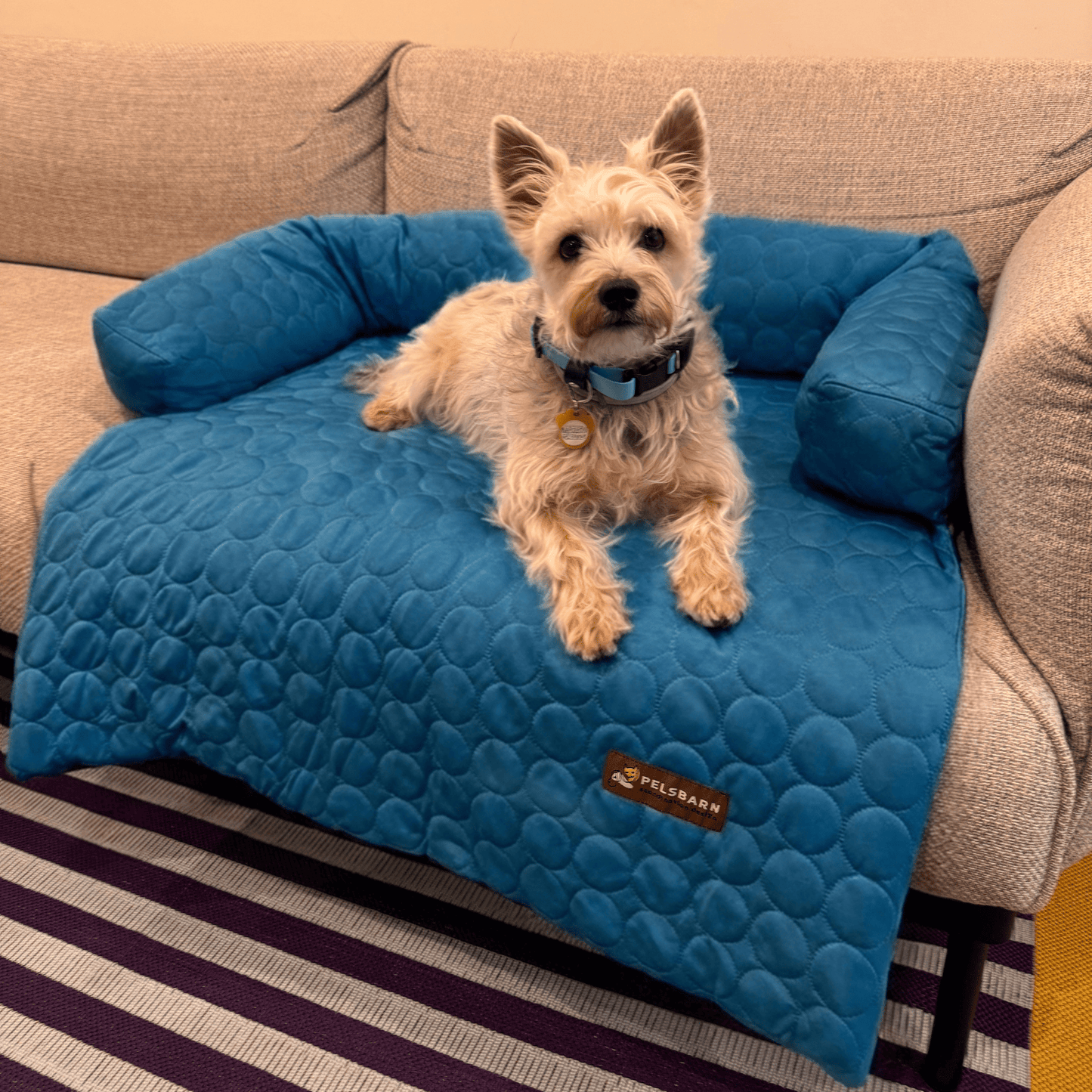 Pelsbarn Cooling Bed (4x more effective)