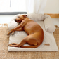 Pelsbarn Cooling Bed (4x more effective)