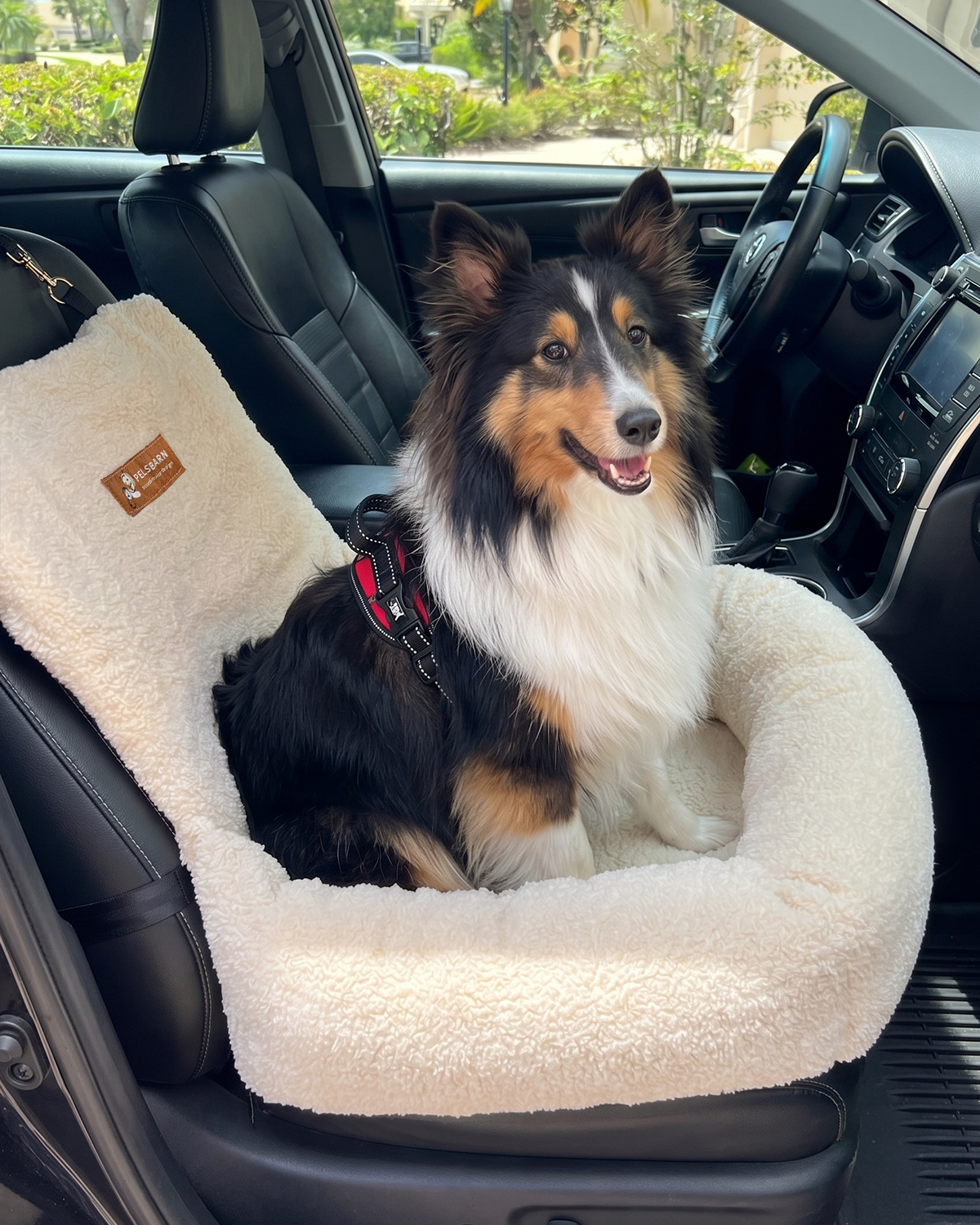 Teddy Car Bed ( 1+1 )
