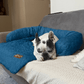 Pelsbarn Cooling Bed (4x more effective)