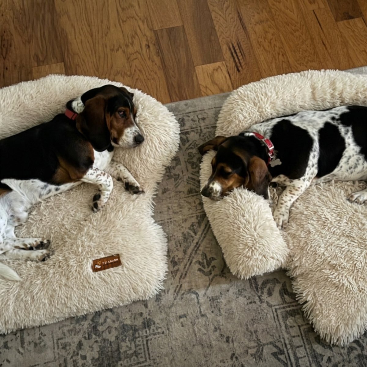 Original Calming Bed