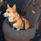 Teddy Car Bed ( 1+1 )