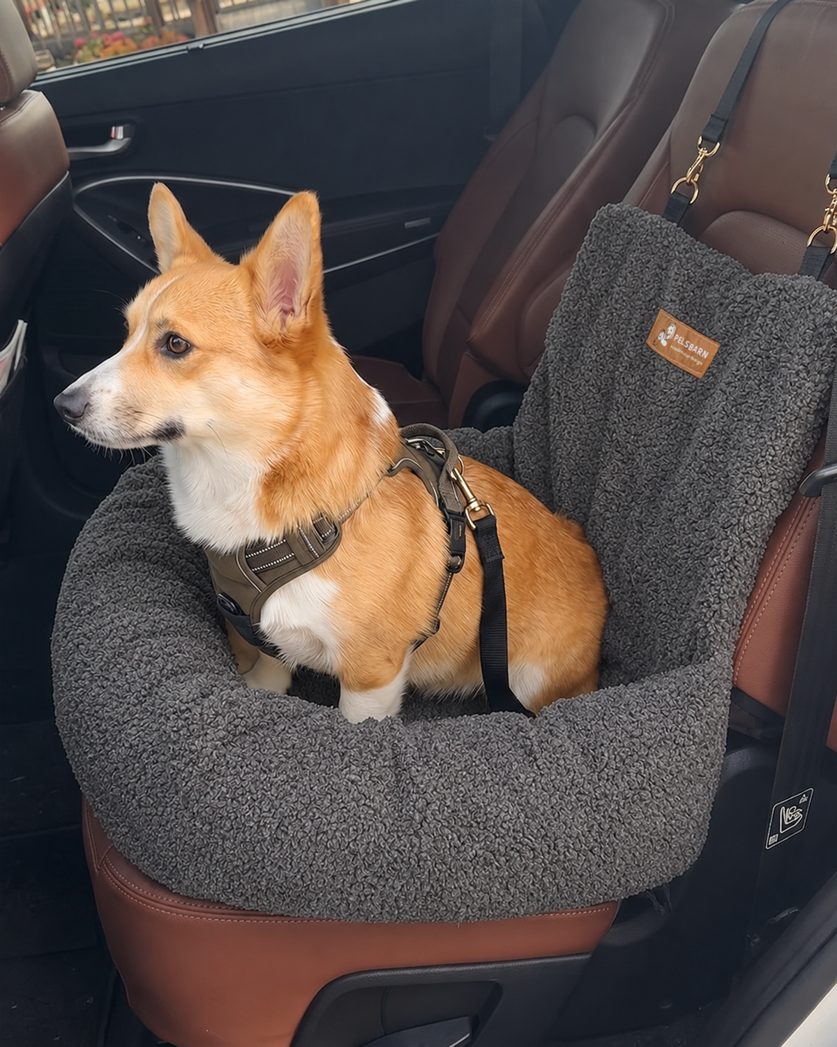 Teddy Car Bed ( 1+1 )