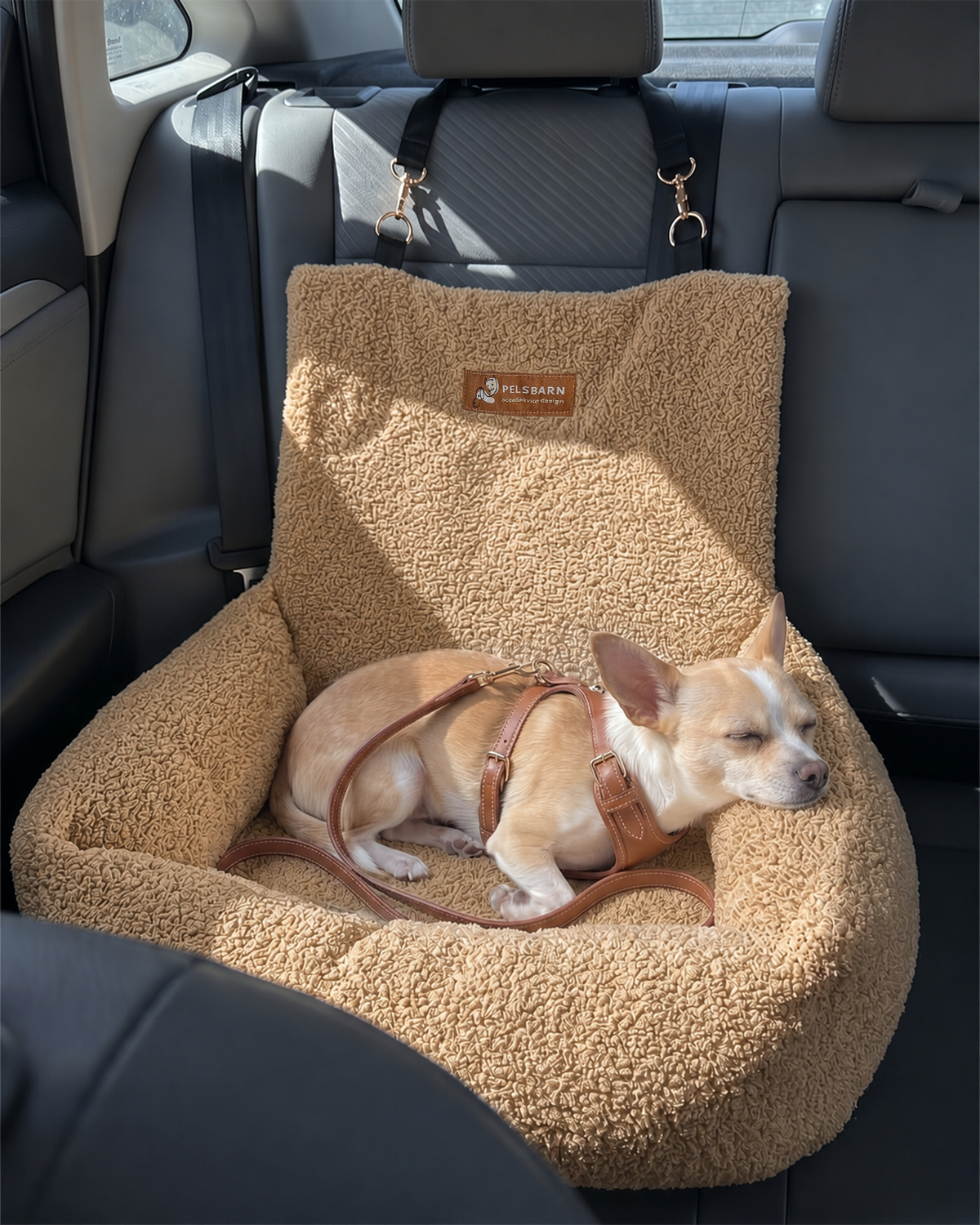 Teddy Car Bed ( 1+1 )