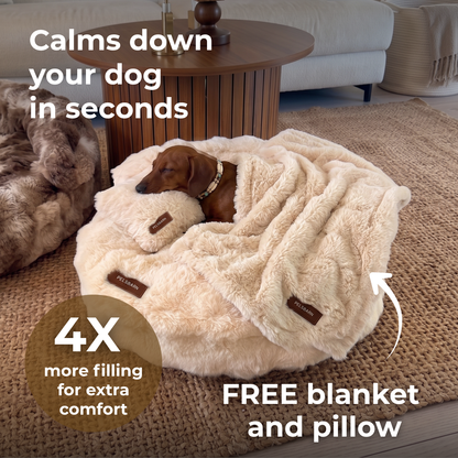 Luxurious Lounge Bed Bundle