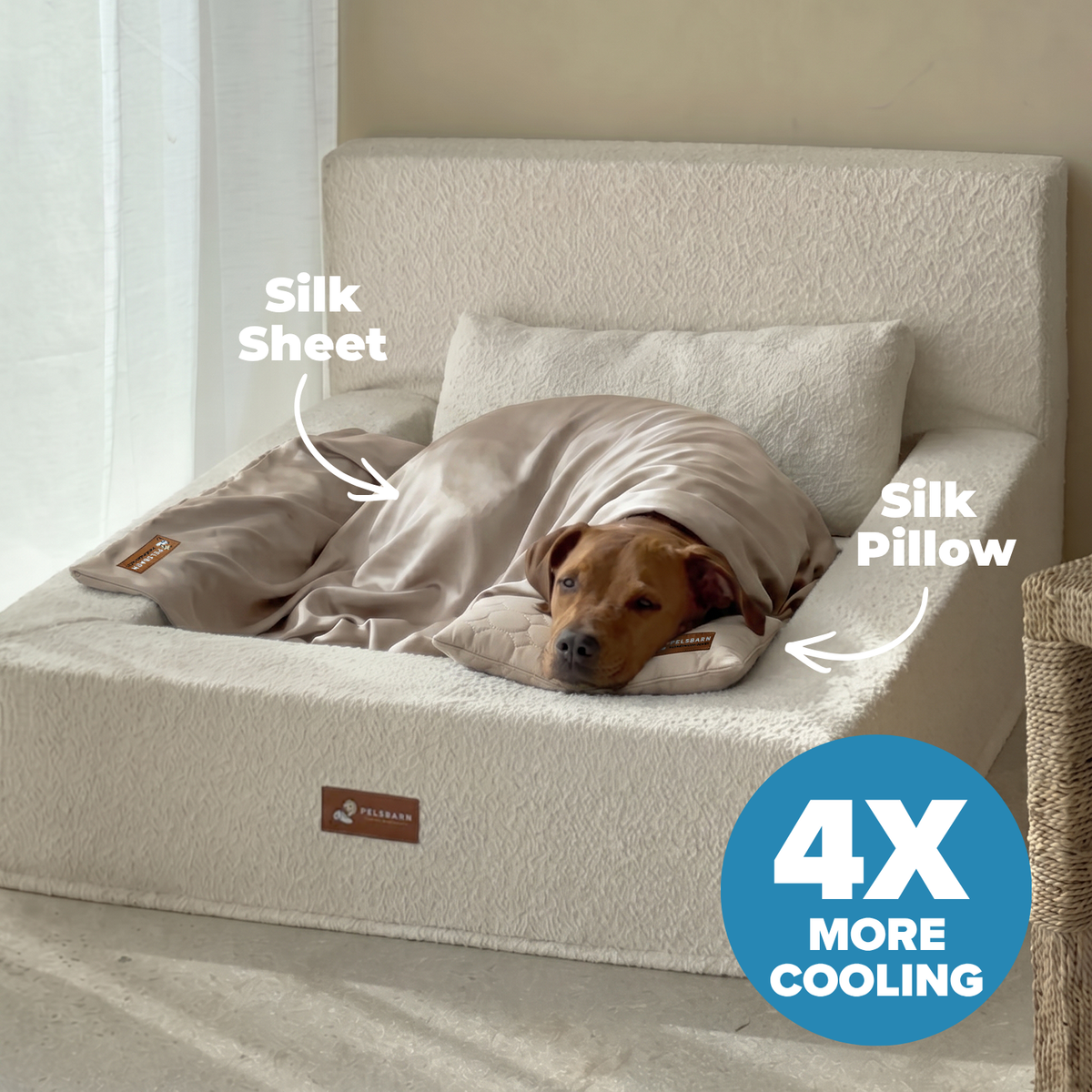 Ready for Dream Bed