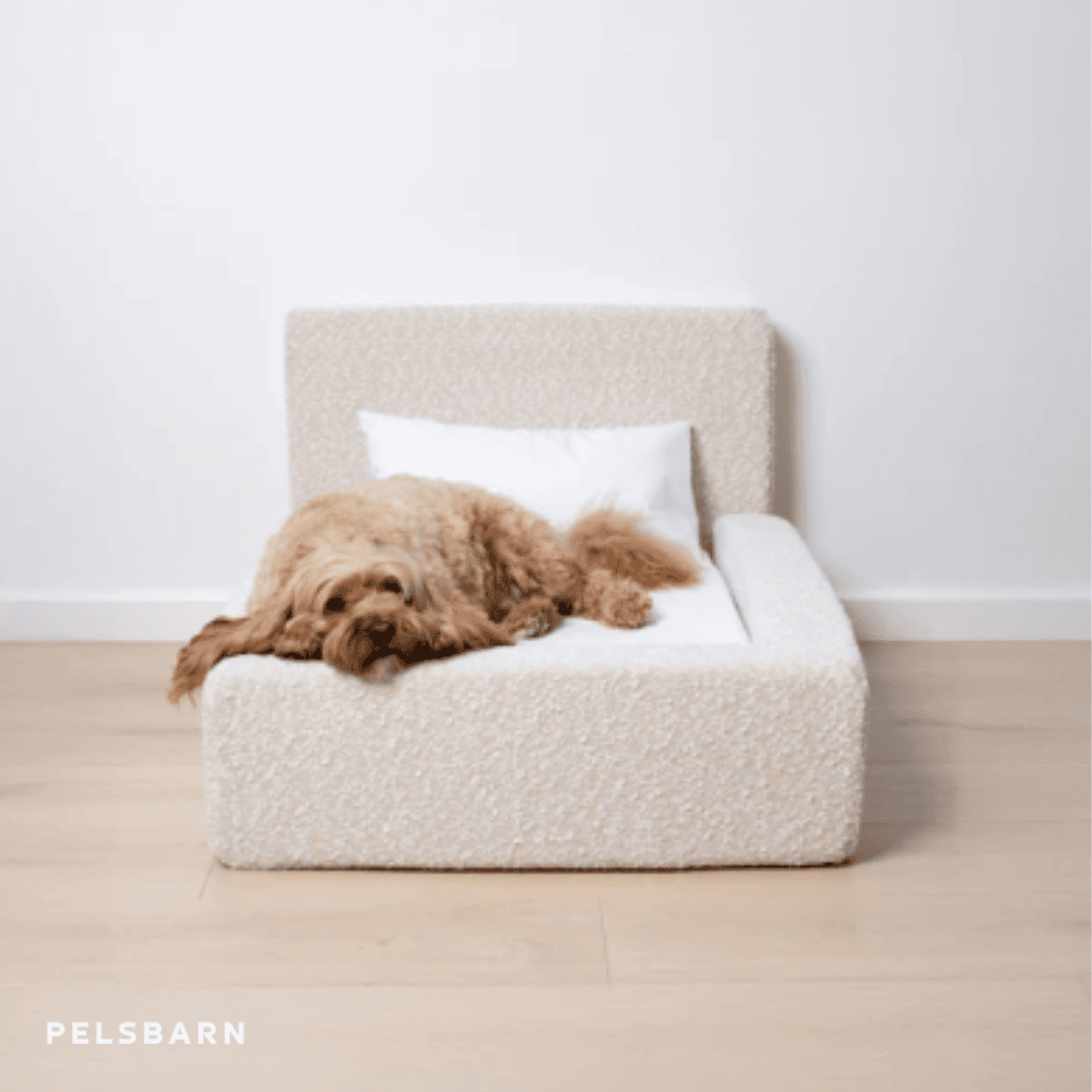 REAL orthopedic bed for dogs