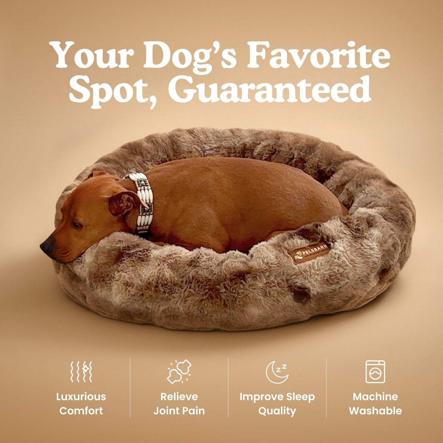 Luxurious Donut Bed