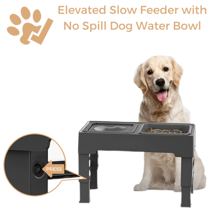 Elevated Slow Feeder with No Spill Dog Water Bowl Pelsbarn