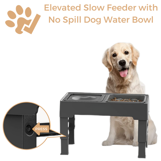 Elevated Slow Feeder with No Spill Dog Water Bowl