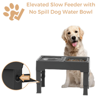 Elevated Slow Feeder with No Spill Dog Water Bowl