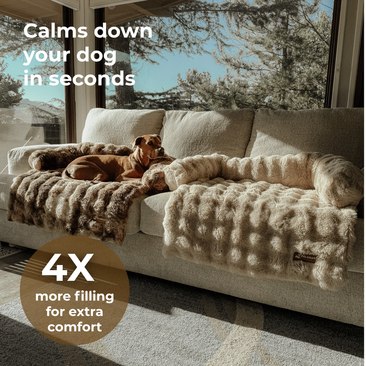 Luxurious Sofa Bed
