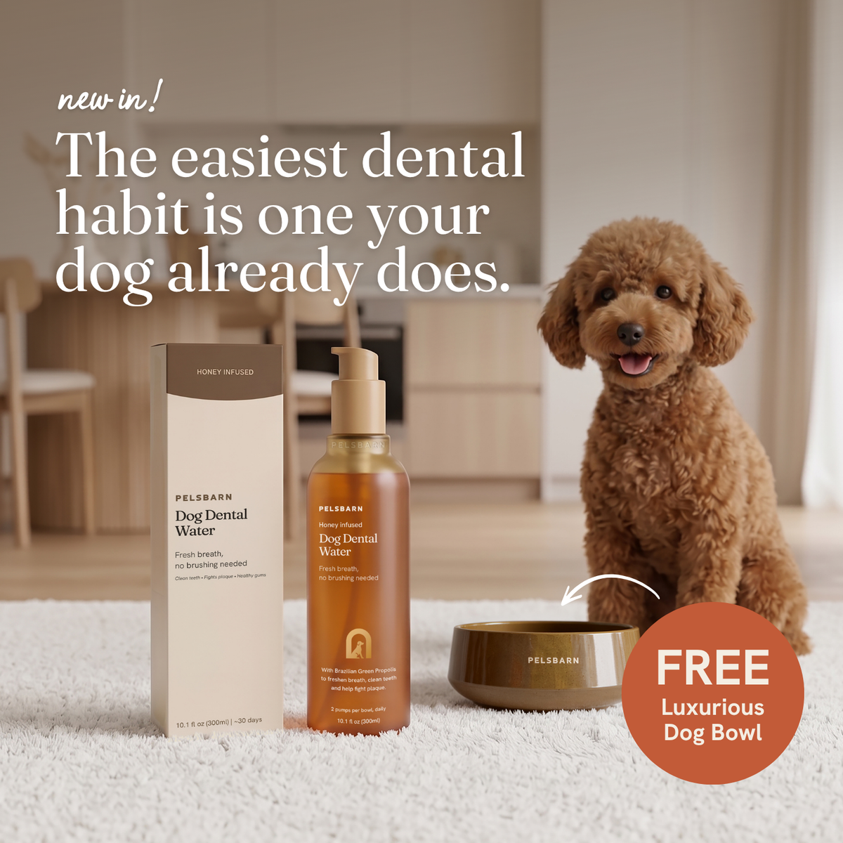 Dog Dental Water