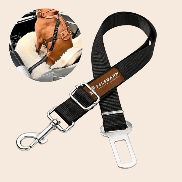 Safety Seat Belt with Elastic Bungee Buffer