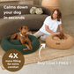 Teddy Donut Bed (1+1 )