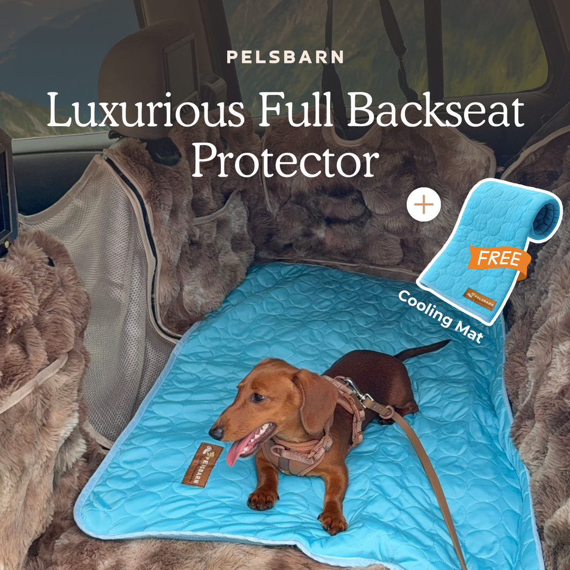 Luxurious Full Backseat Protector + Free Blue Cooling Mat