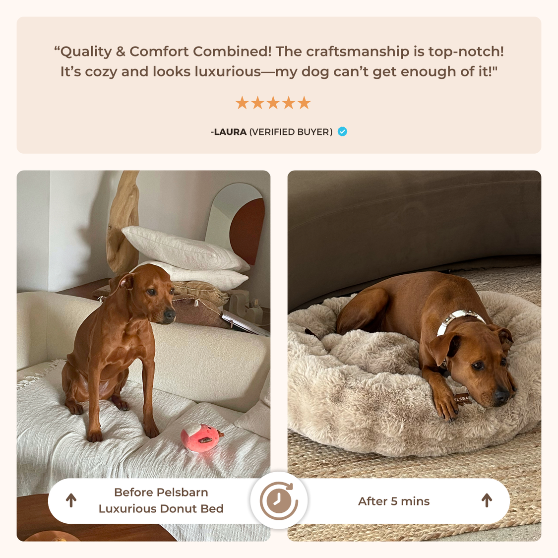 Luxurious Donut Bed 1+1