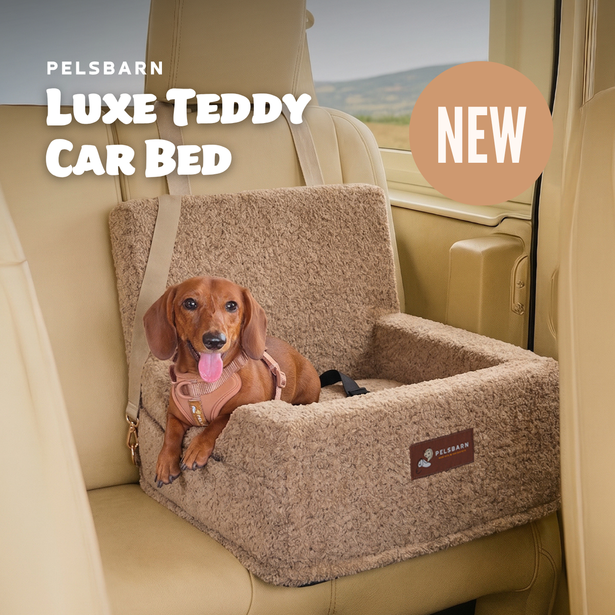 Luxe Teddy Car Bed