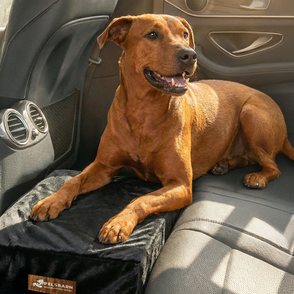 Dog Car Seat Extender