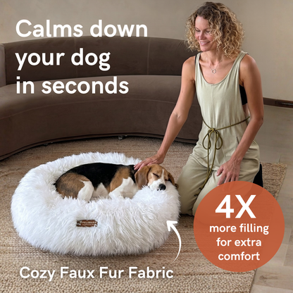 Snugg Dog Bed