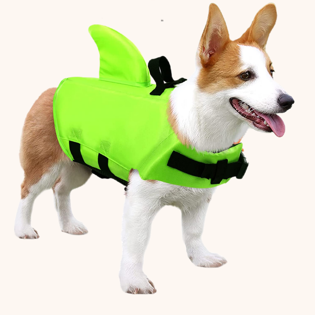 Safety Life Jacket