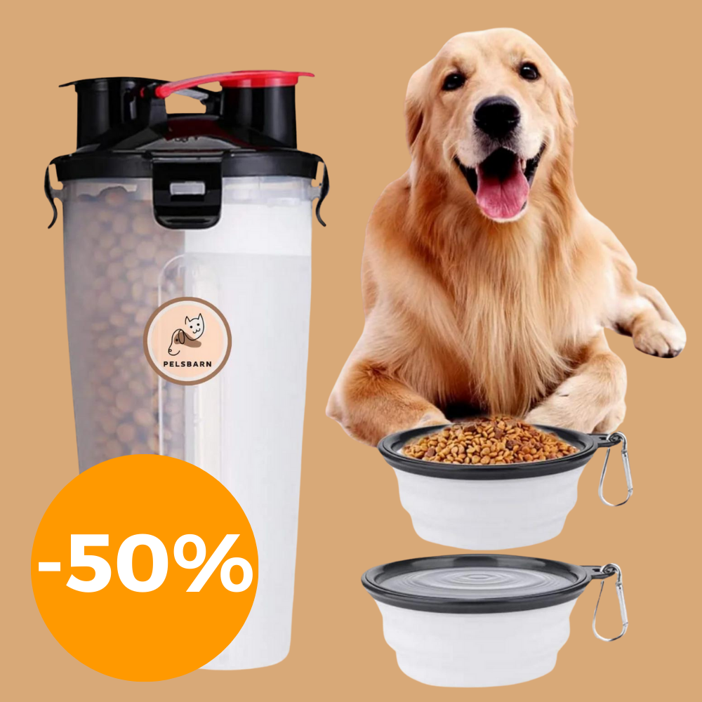 Dog water and food bottle (2-in-1)