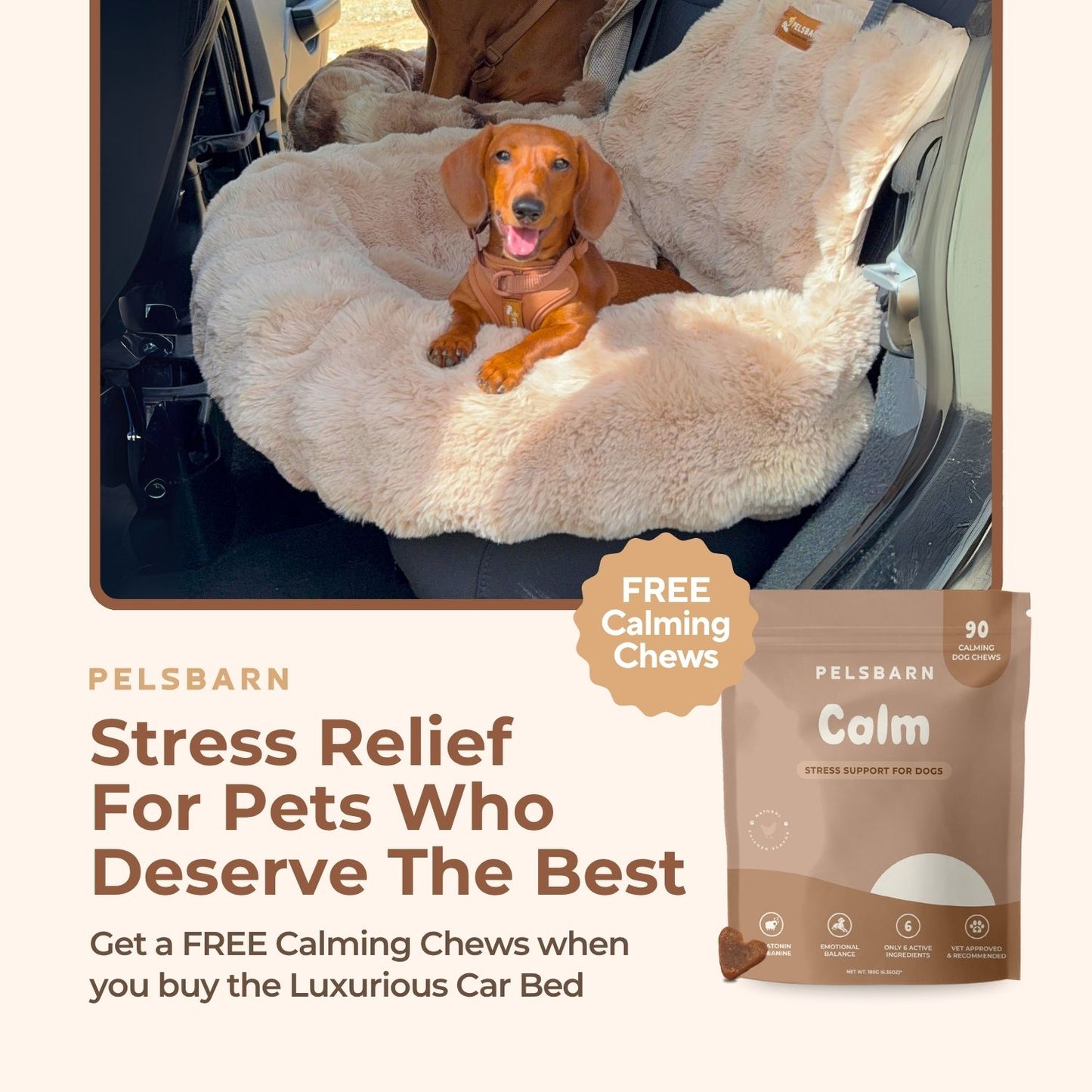 Luxurious Car Bed + Free Calming Chews