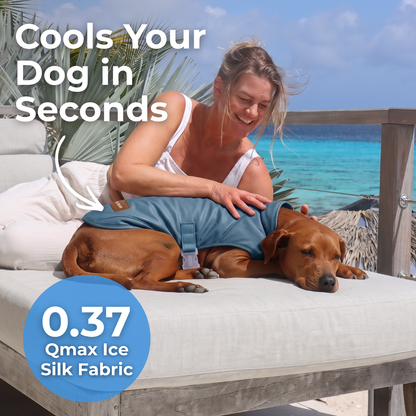 Dog Cooling Vest