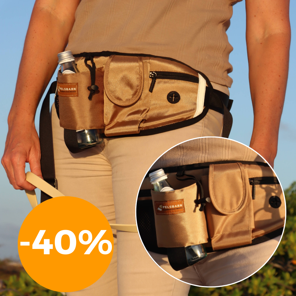 Ultimate All-In-One Dog Fanny Pack