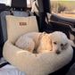 Teddy Car Bed ( 1+1 )