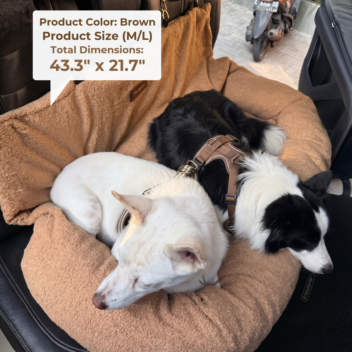 Teddy Car Bed